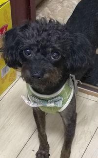 兔子爆料的视频,幕后真相大曝光 第2张 兔子爆料的视频,幕后真相大曝光 第2张