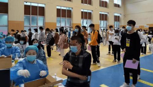 戈雅最新爆料消息新闻  第3张